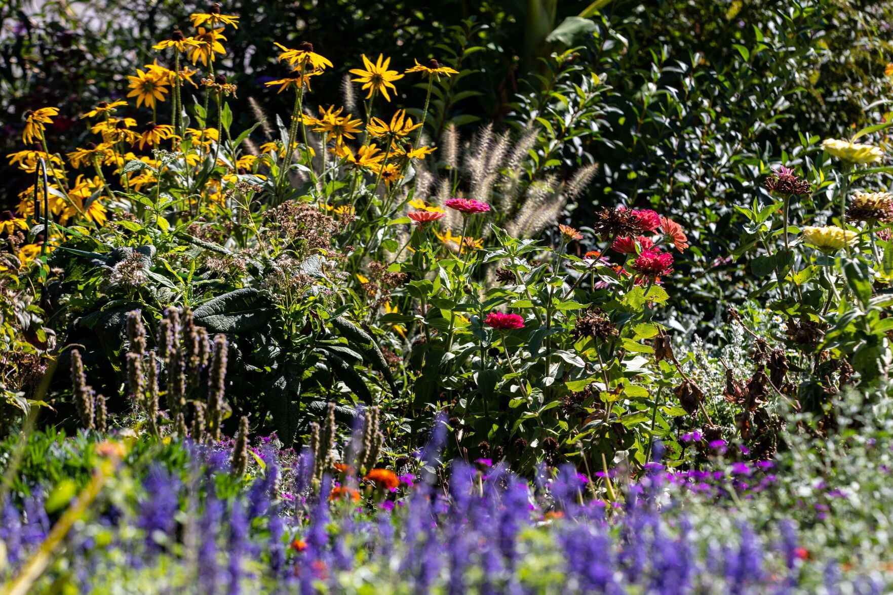092621-owh-living-pollinatorgarden-pic-cm003